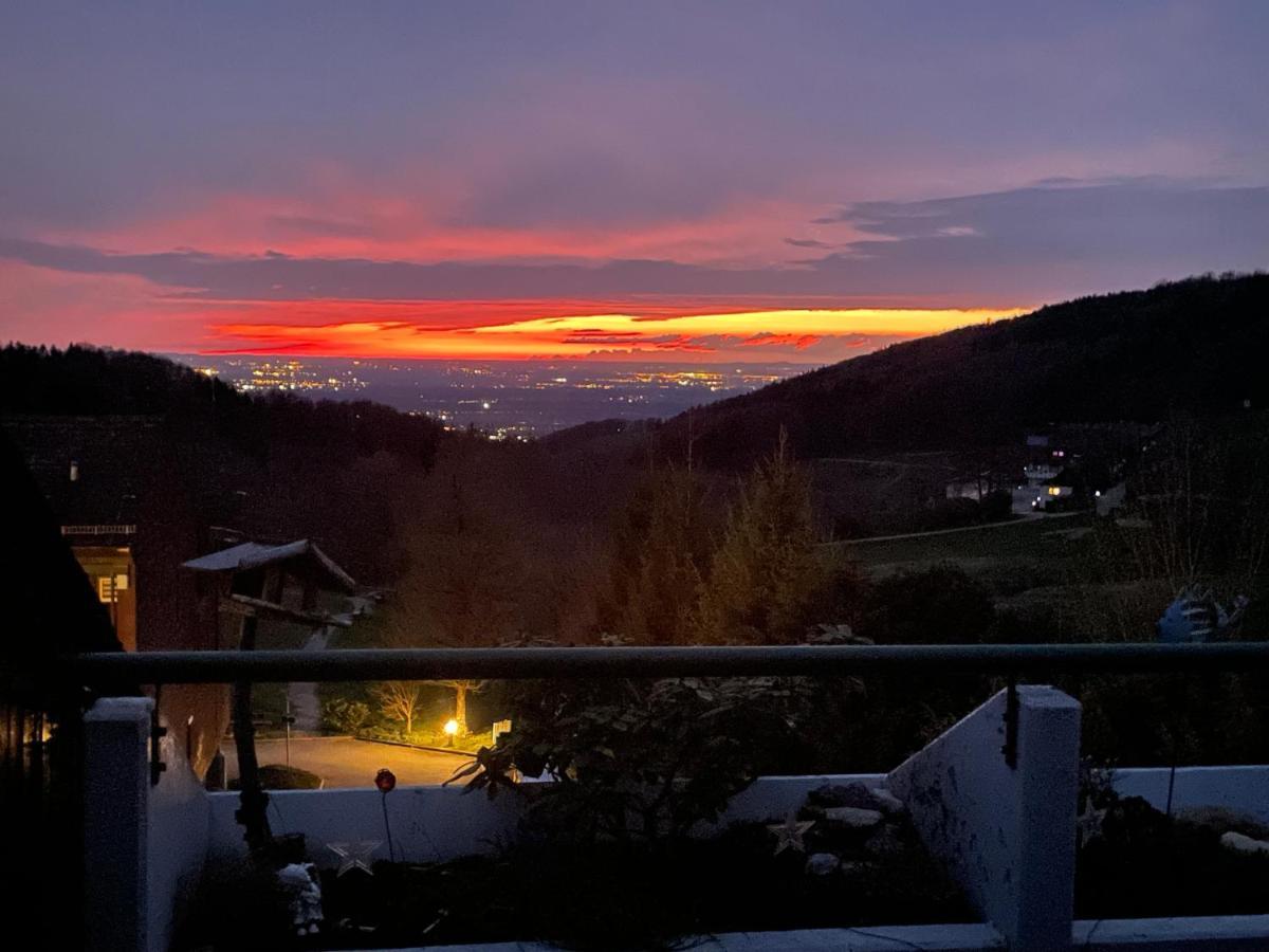 Ferienwohnung Talblick ザスバッハヴァルデン エクステリア 写真