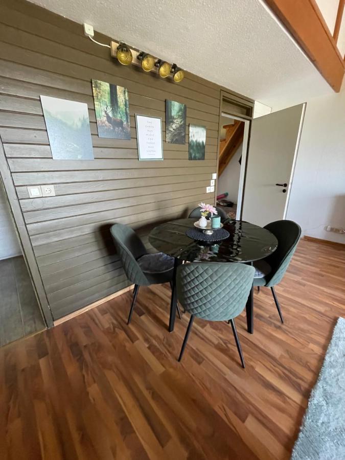 Ferienwohnung Talblick ザスバッハヴァルデン エクステリア 写真